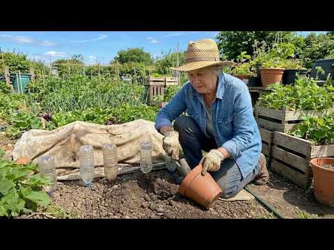 17 Oddly Useful Gardening Tricks That Will Save You Money