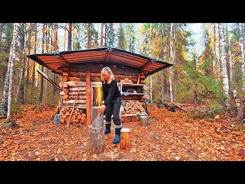 Woman Alone in a Log Cabin in the Deep Forest