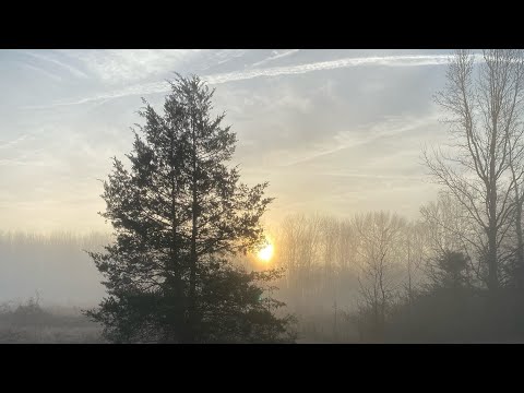  UPDATES: Well is In! 👍 Starting the Pond!! 🛶