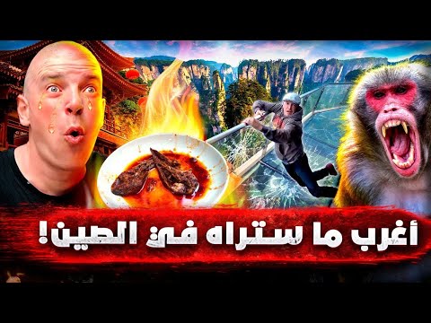 أغرب ما ستراه في الصين!.. عالم سحري في جبال أفاتار وتجربة أغرب الأكلات 🇨🇳🔥