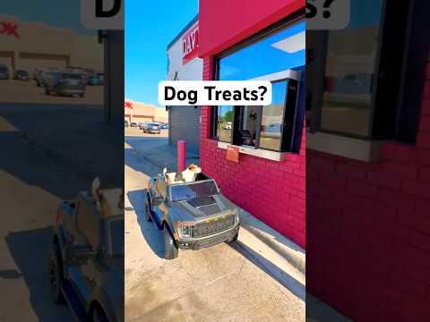 dog drive thru