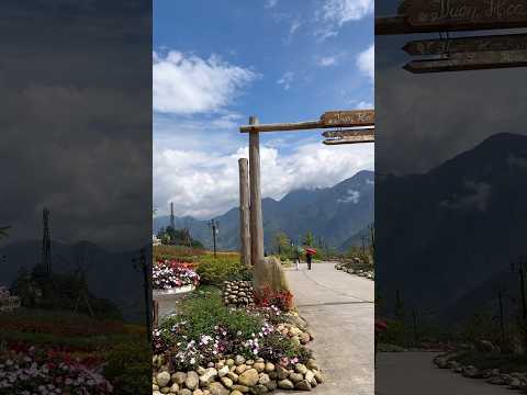 #fansipan #sapavietnam #vietnamtravel #travel #couplevlog #budgettravel #flowers #viral #trending