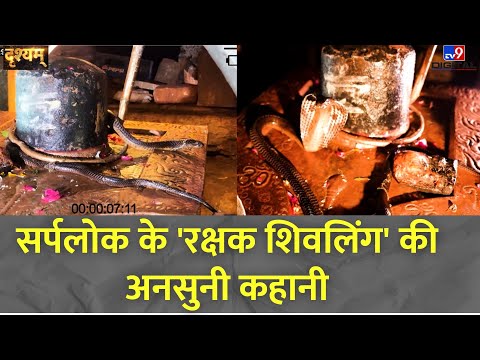 Drishyam Full Show: सर्पलोक के 'रक्षक शिवलिंग' की अनसुनी कहानी | Janmejay Yagya | Mahabharata | MP