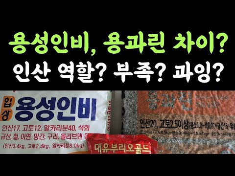 용성인비, 용과린 차이? 인산의 역할? 인산 부족현상? 인산 과잉현상? 등