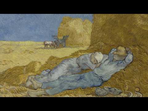 a playlist for reading while the sunlight gently pours through your window