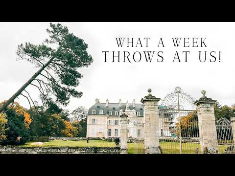 What a week throws at us during our huge château restoration