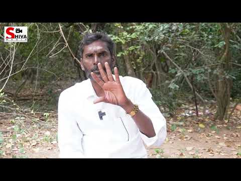 If Jayalalithaa puts a light on her, Veerappan will know...! Selvam Interview 4