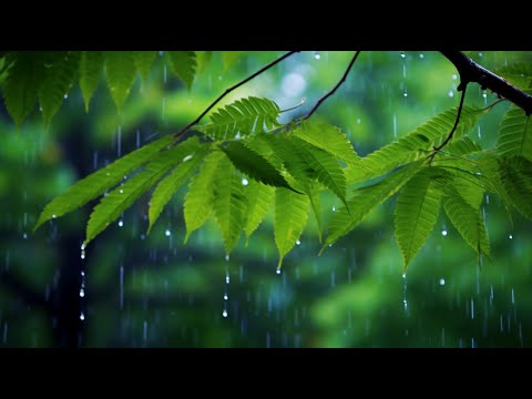 수면 전 들으면 깊이 잠들게 되는 힐링 수면 명상음악 🎵 스트레스 감소 & 편안한 휴식