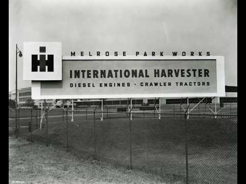 It Looked Invincible — Until the Collapse Began