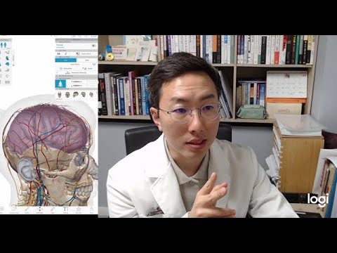 편두통 발작 없애는 유일한 방법 (30년차 편두통 한의사)