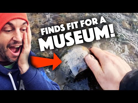 Our Mudlarking finds go on DISPLAY in a Victorian museum!