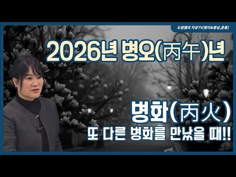 Byeonghwa (丙火) | 2026, the year of Byeong-o (丙午) | When you meet another Byeonghwa (丙火)!!