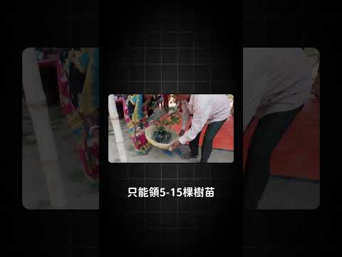 印度的女性拯救了紅樹林！