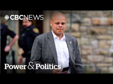Canada's shooting itself in the foot with ‘anti-American hissy fit’: Jivani | Power & Politics
