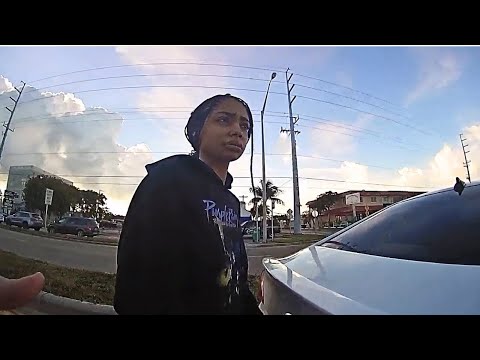 Simple Traffic Stop Turns Into Sudden DISASTER