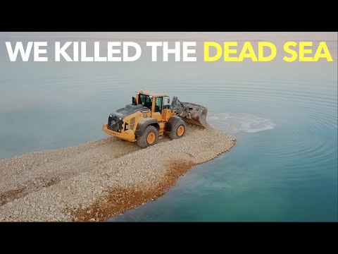 We Killed The Dead Sea