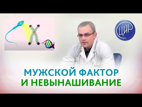 Мужской фактор в невынашивании беременности. Прямой эфир с Живулько А.Р.