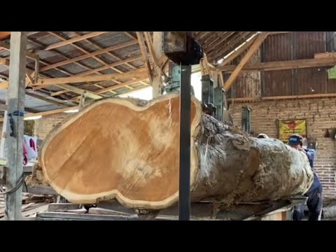 Kayu jati super tua, di belah dalamnya bikin melongo