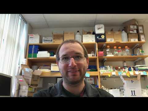 Applying for a Postdoc Position