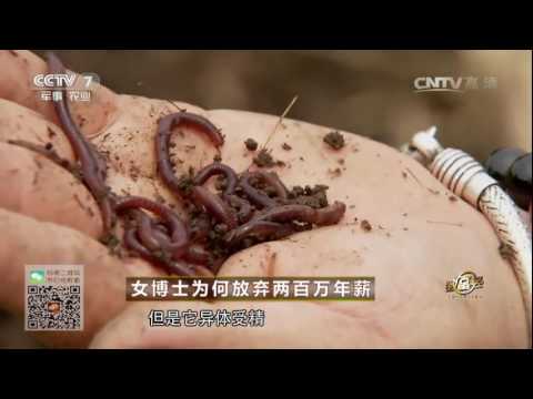 20160823 致富经  女博士为何放弃两百万年薪