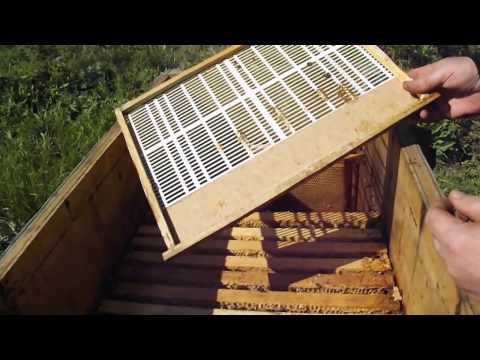 противороевой прием в лежаке