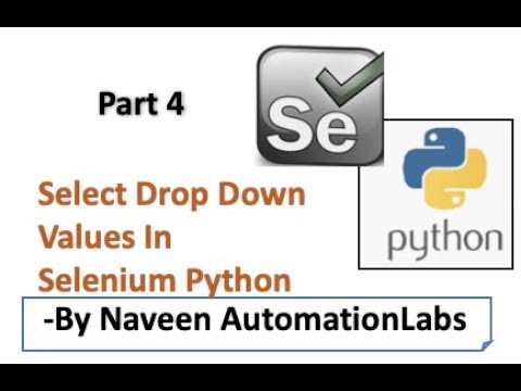 Select Drop Down Values in Selenium Python - Part 4