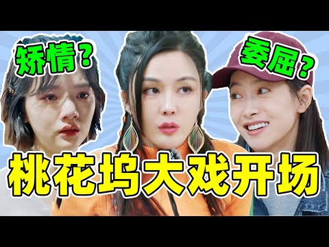 《桃花坞3》大戏开场！汤晶媚耍心机？任敏绿茶？宋茜多管闲事？