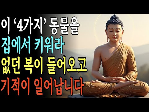 집 안에서 키우면 복이 들어오는 동물 네 가지, 행운을 부르는 공통된 특징