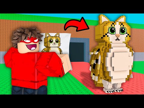 Whatever I DRAW Comes To LIFE In Steal A Brainrot!