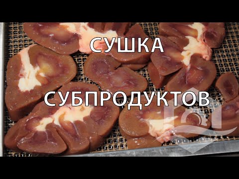 Сушка субпродуктов.Сушка говяжьего хвоста, лёгких, мозгов, печени, почек, диафрагмы, вымя — УКРСУШКА