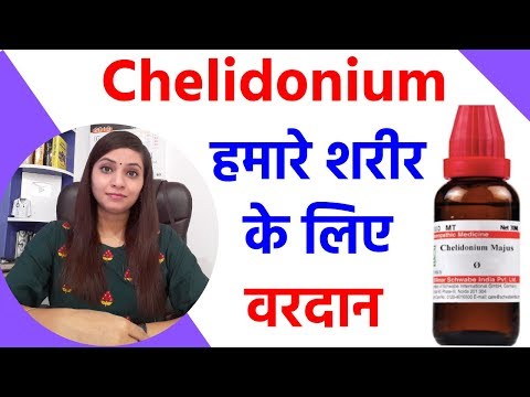 Chelidonium majus | chelidonium q | chelidonium majus q | chelidonium homeopathic medicine