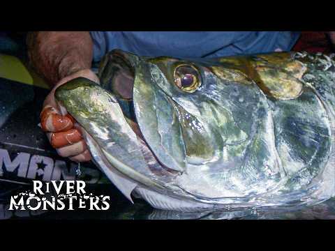 River Monsters Full Episode - Season 5, Episode 1 - Killer Torpedo