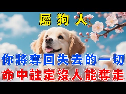 屬狗人:從明天起，你將重奪失去的一切，命中註定歸屬，沒人能奪走！【生肖梵音】#2025年生肖狗運勢 #2025年生肖狗運程 #2025年屬狗運勢 #2025年屬狗運程#生肖 #運勢 #風水