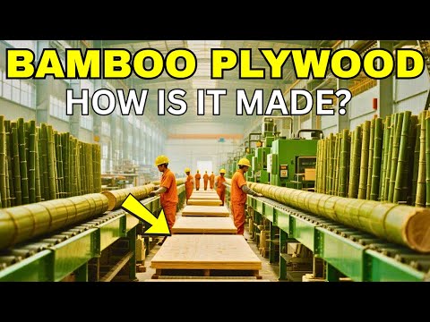 How Millions of Bamboo Trees Are Processed in a Massive Factory to Become Plywood