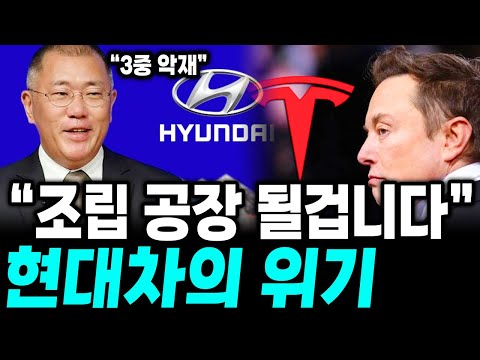 "현대차는 조립 공장이 될 겁니다" 이대로는 위태롭다는 현대차, 도대체 왜 몰락하고 있을까?