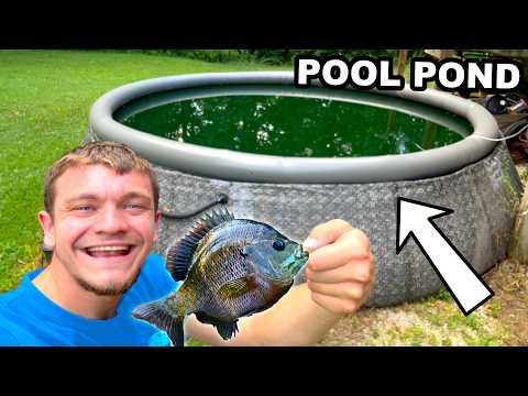 Stocking My Pool Pond with Fish!