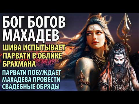 Бог Богов Махадев. Шива испытывает Парвати. Парвати побуждает Шиву провести свадебные обряды.