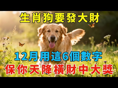 生肖狗要發大財，12月用這6個數字，保你天降橫財中大獎。【生肖開運社】#生肖 #命理 #運勢 #屬相 #風水