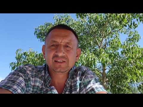 Студенческая виза F-1. Алгоритм действий.