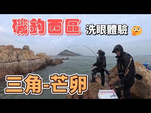 磯釣西區,再戰三角 芒卵. 有魚嘅..如果吾係點會成日去呀!
