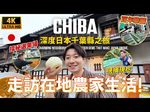 🇯🇵 千葉不只迪士尼！旅遊書以外的城市風貌 帶你體驗日本人的真實生活｜ 遊日本 千葉