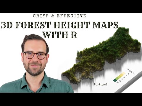 3D forest height maps