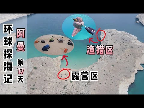 《环球探海记》阿曼~第17天:在中东的无人海岛露营时,我打的渔获居然惊艳全场!#荒岛求生#野外露营#阿曼自由行#自由潜渔猎#