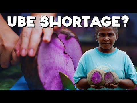 Is Ube Being Stolen from the Philippines?