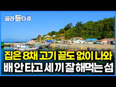사람보다 고기가 더 많네. 집 앞에만 나가면 끊임없이 고기가 나오는 섬마을 식탁｜한국기행｜#골라듄다큐