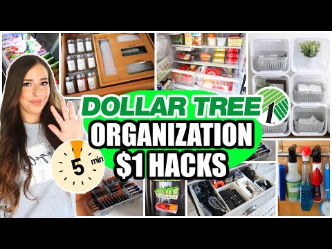 Dollar Tree Organization Hacks (Organize in 5 minutes with these PRACTICAL IDEAS!)
