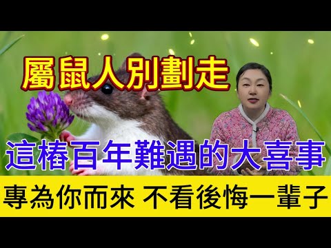 風水輪流轉，好運到你家，屬鼠人別划走！這樁百年難遇的大喜事，專爲你而來，不看虧大了！#運勢 #生肖 #財富 #喜事 #正能量