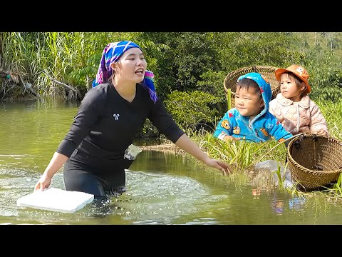 Fishing Techniques: How to Cook Food for children and Harvest Fish pond to Sell at the Market
