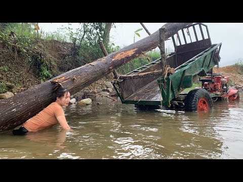 agricultural vehicle transporting wood alone