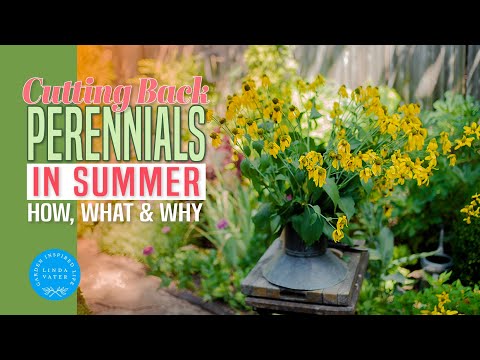 How to Refresh Your Summer Garden